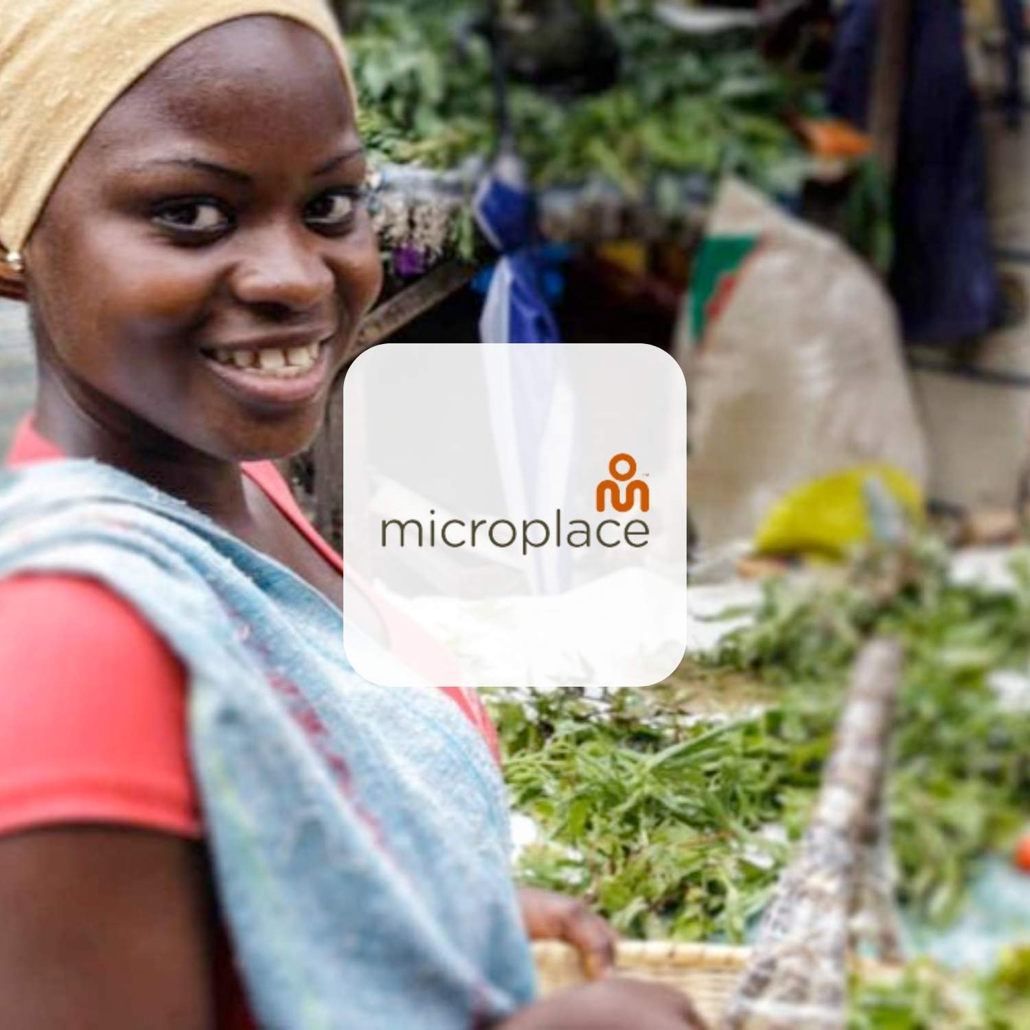 MicroPlace MicroPlace