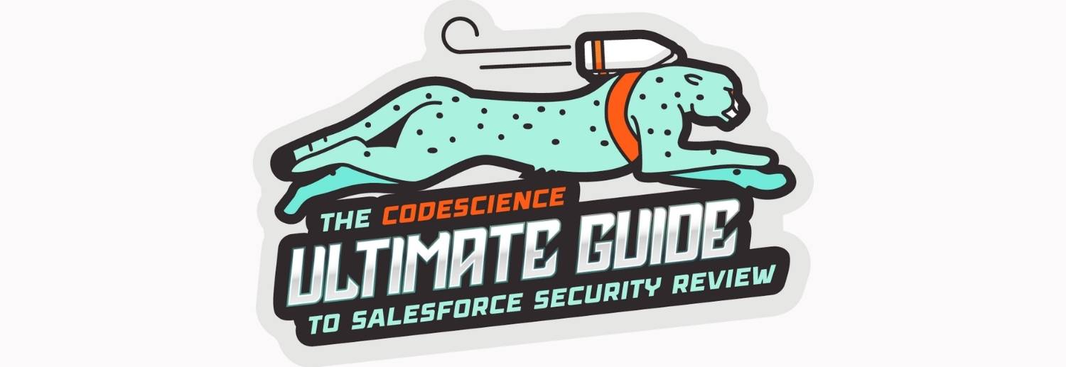 The CodeScience Ultimate Guide to Security Review