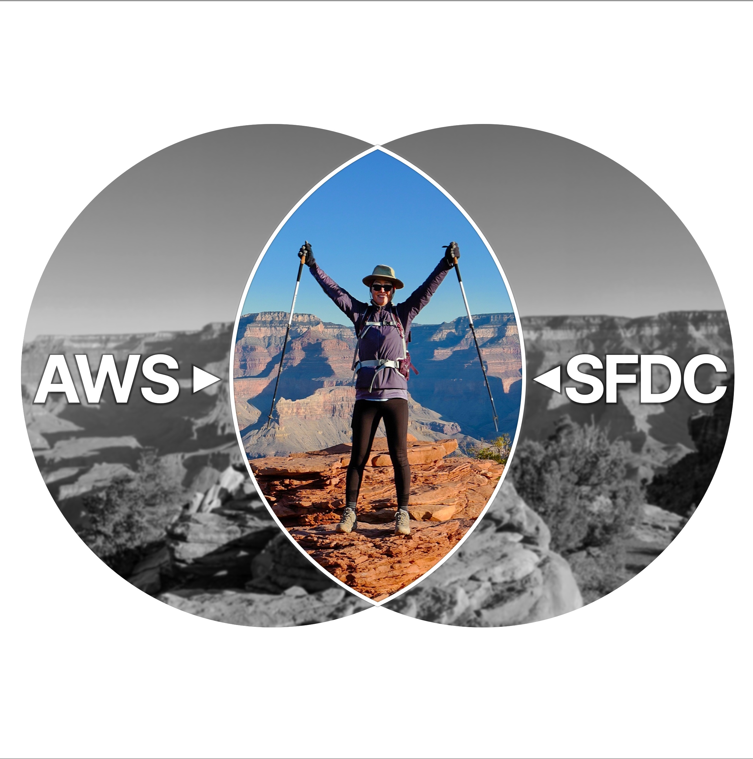 Picking the Right Platform: How to Choose Between Salesforce and AWS