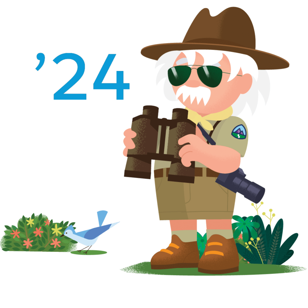 SalesForce Spring Release 2024